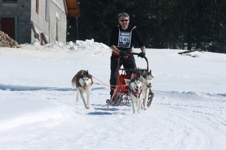 La Pesse 2014  Course de chiens de traineau  (dimanche 09/03/2014), IMG_4847