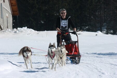 La Pesse 2014  Course de chiens de traineau  (dimanche 09/03/2014), IMG_4848