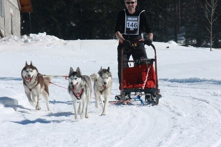 La Pesse 2014  Course de chiens de traineau  (dimanche 09/03/2014), IMG_4849