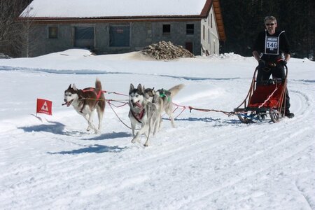 La Pesse 2014  Course de chiens de traineau  (dimanche 09/03/2014), IMG_4851