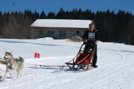 La Pesse 2014  Course de chiens de traineau  (dimanche 09/03/2014), IMG_4852