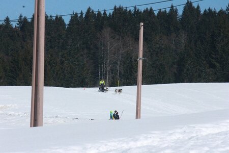 La Pesse 2014  Course de chiens de traineau  (dimanche 09/03/2014), IMG_4854
