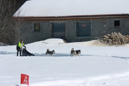 La Pesse 2014  Course de chiens de traineau  (dimanche 09/03/2014), IMG_4858