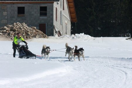 La Pesse 2014  Course de chiens de traineau  (dimanche 09/03/2014), IMG_4859