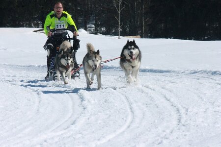 La Pesse 2014  Course de chiens de traineau  (dimanche 09/03/2014), IMG_4862