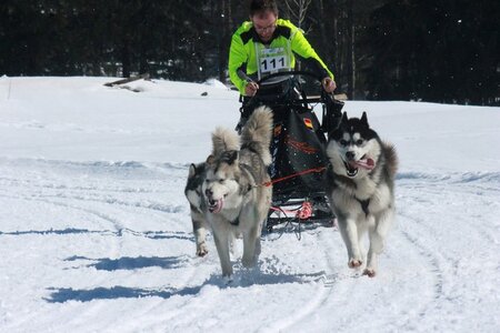 La Pesse 2014  Course de chiens de traineau  (dimanche 09/03/2014), IMG_4864