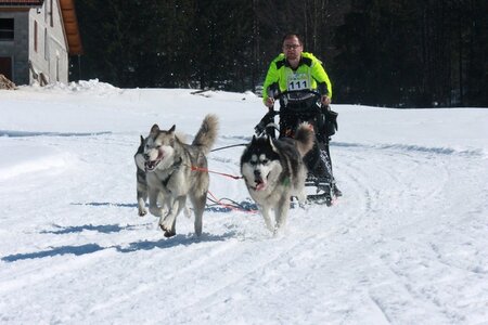 La Pesse 2014  Course de chiens de traineau  (dimanche 09/03/2014), IMG_4865