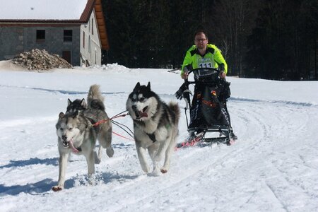 La Pesse 2014  Course de chiens de traineau  (dimanche 09/03/2014), IMG_4866