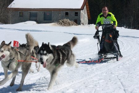 La Pesse 2014  Course de chiens de traineau  (dimanche 09/03/2014), IMG_4867
