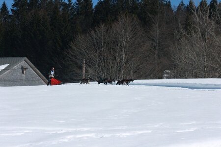 La Pesse 2014  Course de chiens de traineau  (dimanche 09/03/2014), IMG_4870
