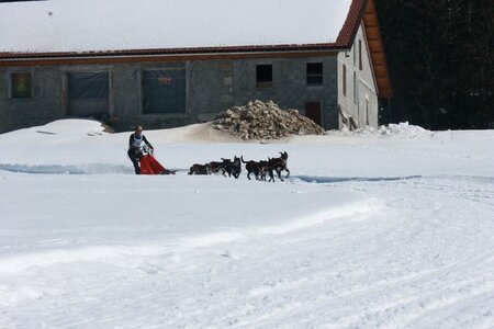 La Pesse 2014  Course de chiens de traineau  (dimanche 09/03/2014), IMG_4874