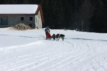La Pesse 2014  Course de chiens de traineau  (dimanche 09/03/2014), IMG_4875