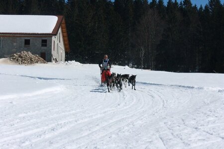 La Pesse 2014  Course de chiens de traineau  (dimanche 09/03/2014), IMG_4876