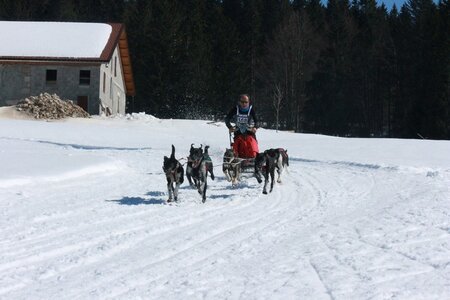 La Pesse 2014  Course de chiens de traineau  (dimanche 09/03/2014), IMG_4878