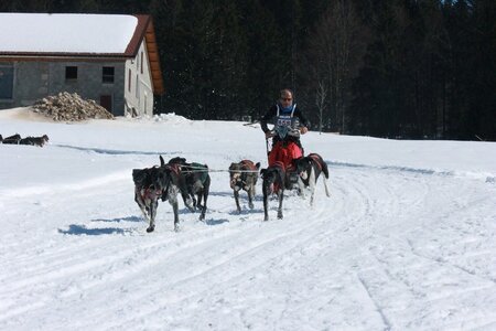 La Pesse 2014  Course de chiens de traineau  (dimanche 09/03/2014), IMG_4879