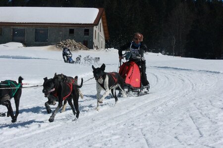La Pesse 2014  Course de chiens de traineau  (dimanche 09/03/2014), IMG_4880