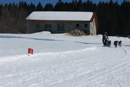 La Pesse 2014  Course de chiens de traineau  (dimanche 09/03/2014), IMG_4882
