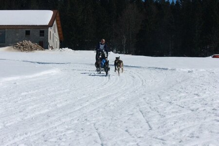 La Pesse 2014  Course de chiens de traineau  (dimanche 09/03/2014), IMG_4883