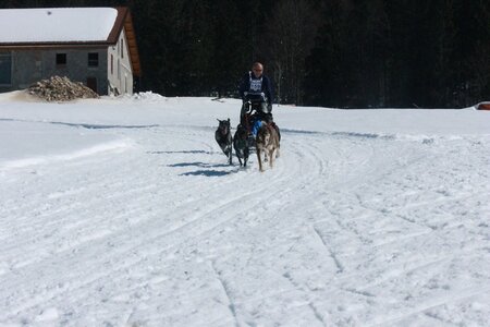 La Pesse 2014  Course de chiens de traineau  (dimanche 09/03/2014), IMG_4884
