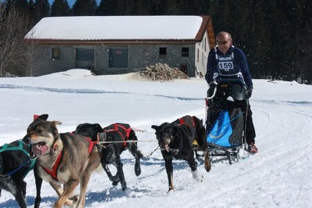 La Pesse 2014  Course de chiens de traineau  (dimanche 09/03/2014), IMG_4886