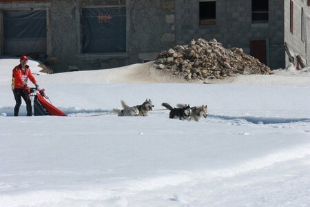 La Pesse 2014  Course de chiens de traineau  (dimanche 09/03/2014), IMG_4894