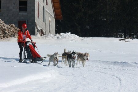 La Pesse 2014  Course de chiens de traineau  (dimanche 09/03/2014), IMG_4895
