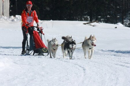 La Pesse 2014  Course de chiens de traineau  (dimanche 09/03/2014), IMG_4896
