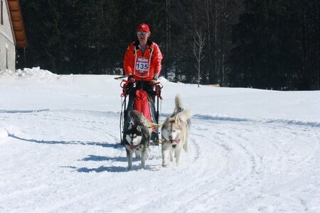 La Pesse 2014  Course de chiens de traineau  (dimanche 09/03/2014), IMG_4899