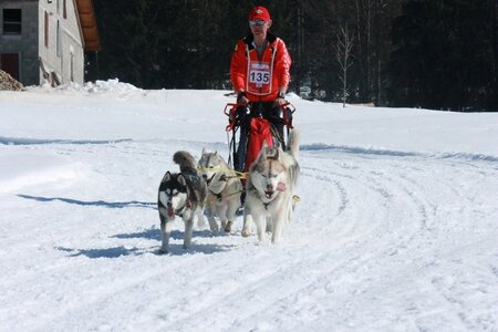La Pesse 2014  Course de chiens de traineau  (dimanche 09/03/2014), IMG_4900