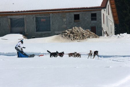 La Pesse 2014  Course de chiens de traineau  (dimanche 09/03/2014), IMG_4907