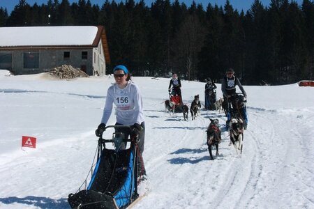 La Pesse 2014  Course de chiens de traineau  (dimanche 09/03/2014), IMG_4911