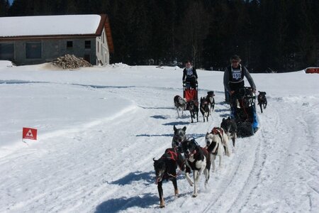 La Pesse 2014  Course de chiens de traineau  (dimanche 09/03/2014), IMG_4912