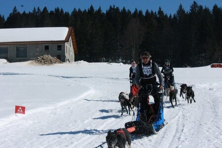 La Pesse 2014  Course de chiens de traineau  (dimanche 09/03/2014), IMG_4913