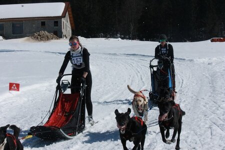 La Pesse 2014  Course de chiens de traineau  (dimanche 09/03/2014), IMG_4915