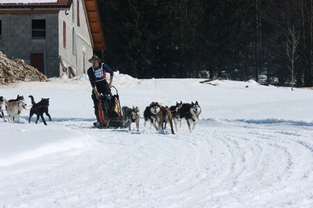 La Pesse 2014  Course de chiens de traineau  (dimanche 09/03/2014), IMG_4924