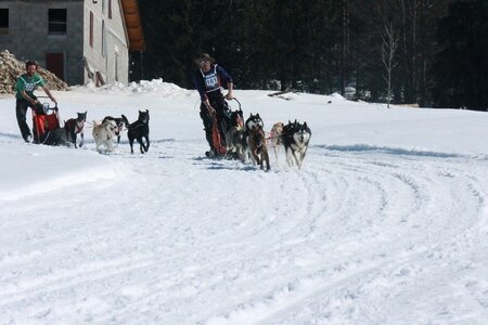 La Pesse 2014  Course de chiens de traineau  (dimanche 09/03/2014), IMG_4925