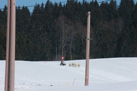 La Pesse 2014  Course de chiens de traineau  (dimanche 09/03/2014), IMG_4933
