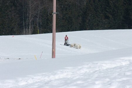 La Pesse 2014  Course de chiens de traineau  (dimanche 09/03/2014), IMG_4934