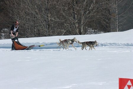La Pesse 2014  Course de chiens de traineau  (dimanche 09/03/2014), IMG_4949