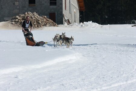 La Pesse 2014  Course de chiens de traineau  (dimanche 09/03/2014), IMG_4950