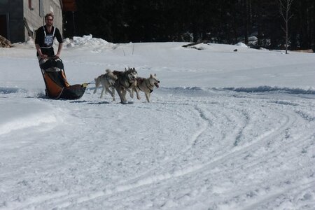 La Pesse 2014  Course de chiens de traineau  (dimanche 09/03/2014), IMG_4951