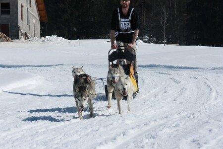 La Pesse 2014  Course de chiens de traineau  (dimanche 09/03/2014), IMG_4955