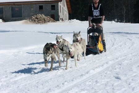 La Pesse 2014  Course de chiens de traineau  (dimanche 09/03/2014), IMG_4956