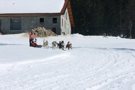 La Pesse 2014  Course de chiens de traineau  (dimanche 09/03/2014), IMG_4961