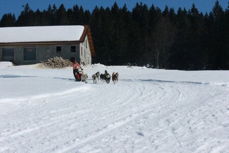 La Pesse 2014  Course de chiens de traineau  (dimanche 09/03/2014), IMG_4962