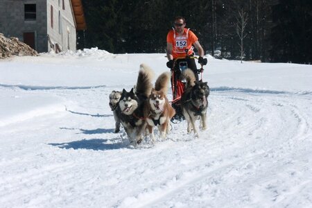 La Pesse 2014  Course de chiens de traineau  (dimanche 09/03/2014), IMG_4966