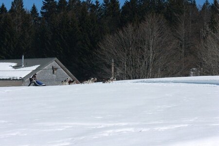 La Pesse 2014  Course de chiens de traineau  (dimanche 09/03/2014), IMG_4972