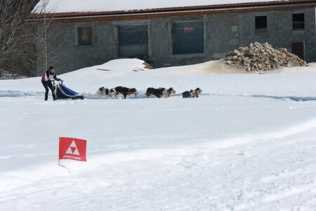 La Pesse 2014  Course de chiens de traineau  (dimanche 09/03/2014), IMG_4974
