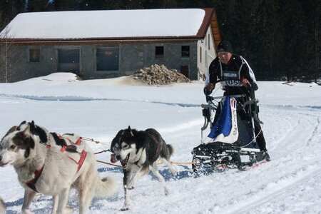 La Pesse 2014  Course de chiens de traineau  (dimanche 09/03/2014), IMG_4982