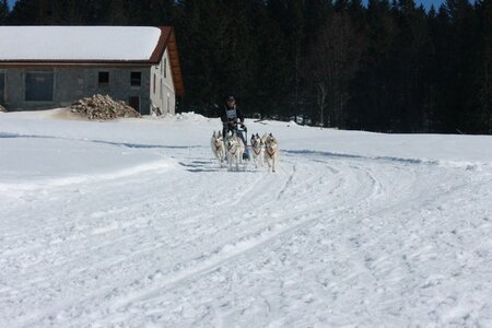 La Pesse 2014  Course de chiens de traineau  (dimanche 09/03/2014), IMG_4985